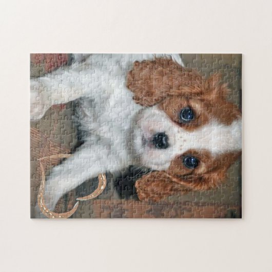 Cavalier King Charles Love Puzzle (Horizontal)