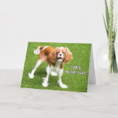 Cavalier King Charles Mother's Day Card Karte (Vorderseite)