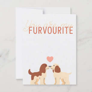 Cavalier King Charles - My Favourite Person Postkarte