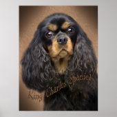 Cavalier King Charles Portrait Poster (Vorne)