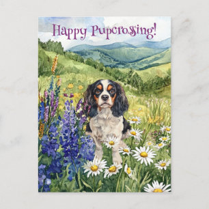 Cavalier King Charles Postcross - Postcard Postkarte