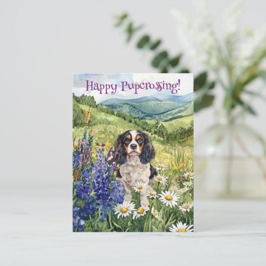 Cavalier King Charles Postcross - Postcard Postkarte (Stehend Vorderseite)