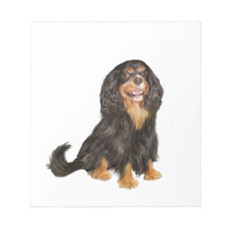 Cavalier King Charles (R) - Black and tan.png Notizblock