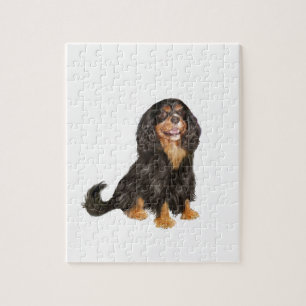 Cavalier King Charles (R) - Black and tan.png Puzzle