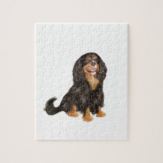 Cavalier King Charles (R) - Black and tan.png Puzzle (Vertikal)