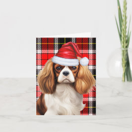 Cavalier King Charles Red Green Karierte Weihnacht Feiertagskarte