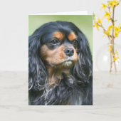 Cavalier King Charles schätze unsere Freundschaft Karte (Gelbe Blume)