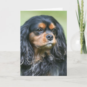 Cavalier King Charles schätze unsere Freundschaft Karte