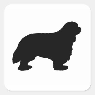 Cavalier King Charles silo schwarz Quadratischer Aufkleber