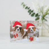 Cavalier King Charles Snow Scene Postkarte (Stehend Vorderseite)
