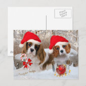 Cavalier King Charles Snow Scene Postkarte (Vorne/Hinten)