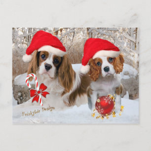 Cavalier King Charles Snow Scene Postkarte