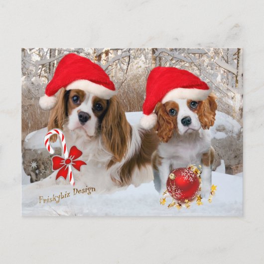 Cavalier King Charles Snow Scene Postkarte (Vorderseite)
