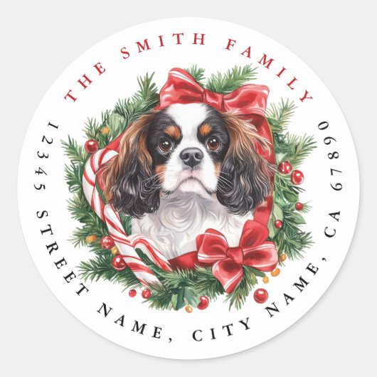 Cavalier King Charles Spanel Round Stickers (Vorderseite)
