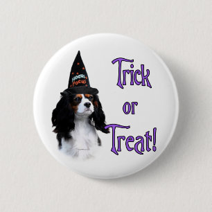 Cavalier King Charles Spanel Trick Button