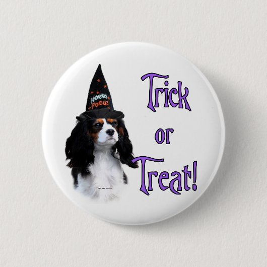 Cavalier King Charles Spanel Trick Button (Vorderseite)