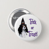 Cavalier King Charles Spanel Trick Button (Vorne & Hinten)