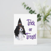 Cavalier King Charles Spanel Trick Postkarte (Stehend Vorderseite)