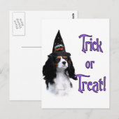 Cavalier King Charles Spanel Trick Postkarte (Vorne/Hinten)
