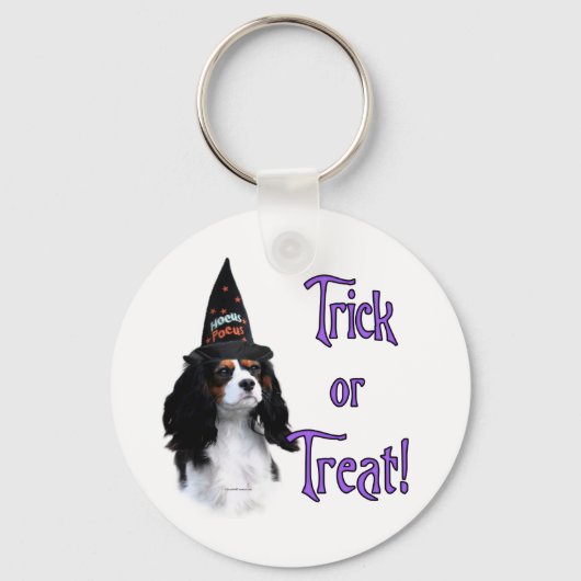 Cavalier King Charles Spanel Trick Schlüsselanhänger (Vorderseite)