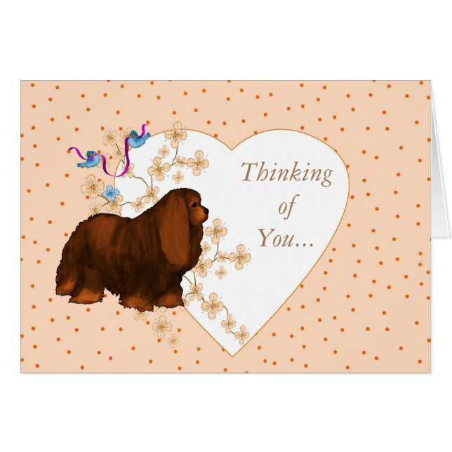 Cavalier King Charles Spaniel (Vorderseite (Horizontal))