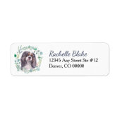 Cavalier King Charles Spaniel (Vorne)