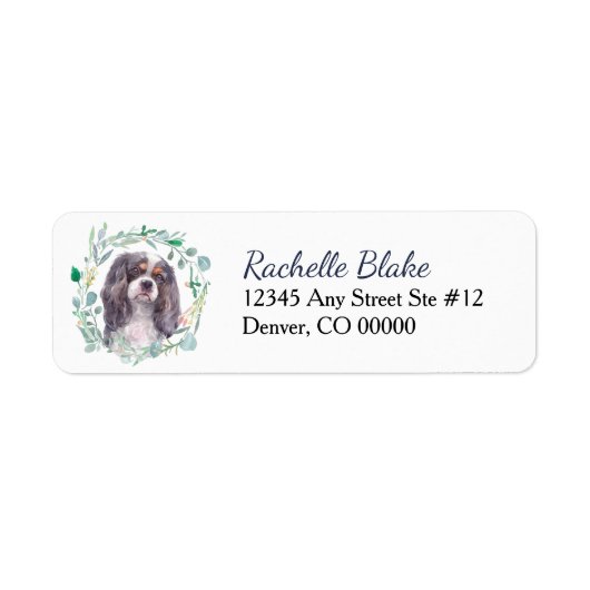 Cavalier King Charles Spaniel (Vorne)