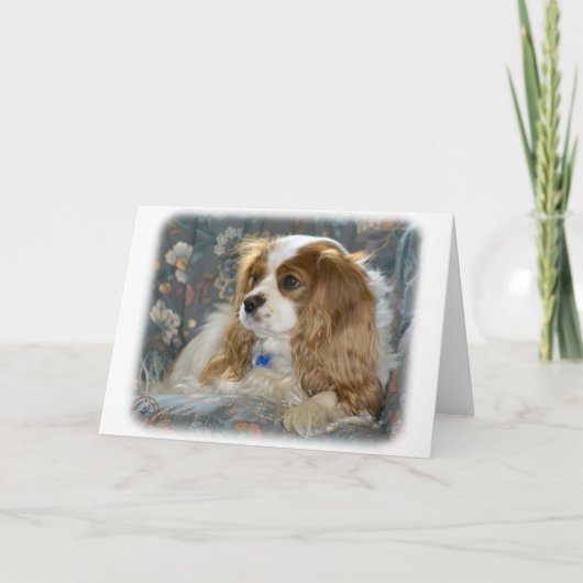 Cavalier King Charles Spaniel 8R16D-01 Karte (Vorderseite)