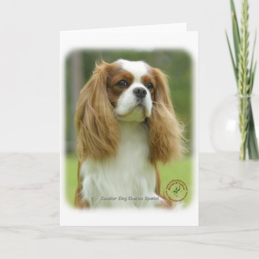 Cavalier King Charles Spaniel 9F097D-08 Karte (Vorderseite)