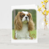 Cavalier King Charles Spaniel 9F097D-08 Karte (Gelbe Blume)