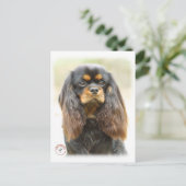 Cavalier King Charles Spaniel 9F51D-03 Postkarte (Stehend Vorderseite)