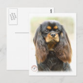 Cavalier King Charles Spaniel 9F51D-03 Postkarte (Vorne/Hinten)