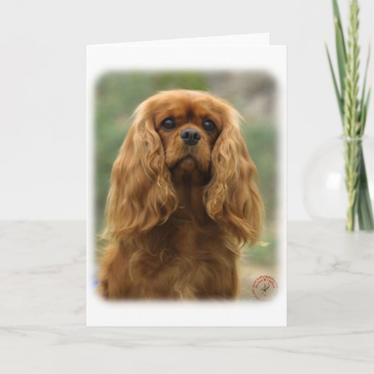 Cavalier King Charles Spaniel 9F51D-10 Karte (Vorderseite)