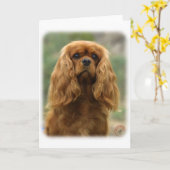 Cavalier King Charles Spaniel 9F51D-10 Karte (Gelbe Blume)