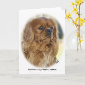 Cavalier King Charles Spaniel 9K27D-17 Karte (Gelbe Blume)