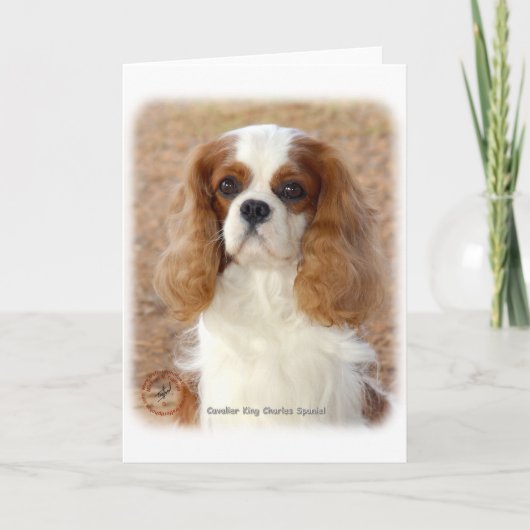 Cavalier King Charles Spaniel 9L005D-08 Karte (Vorderseite)