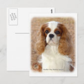 Cavalier King Charles Spaniel 9L005D-08 Postkarte (Vorne/Hinten)