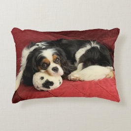 Cavalier King Charles Spaniel Accent Pillow Dekokissen