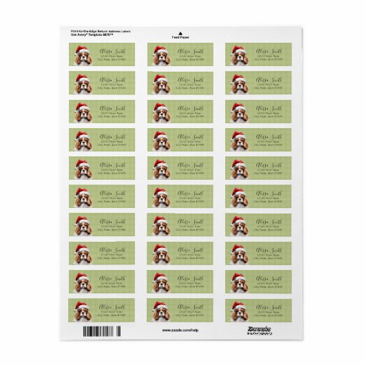 Cavalier King Charles Spaniel Address Labels (Vorne)