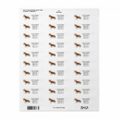 Cavalier King Charles Spaniel Address Labels (Vorne)
