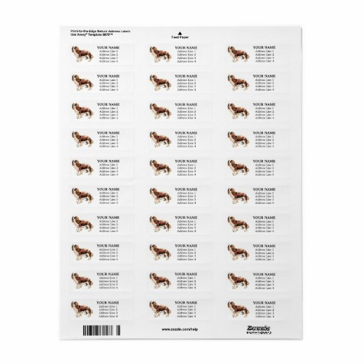 Cavalier King Charles Spaniel Address Labels (Vorne)