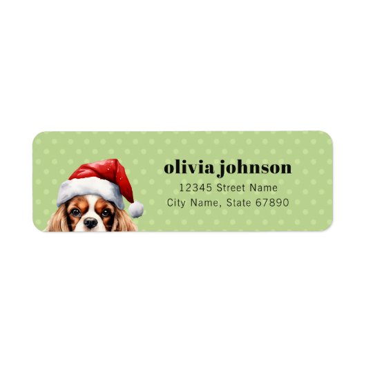 Cavalier King Charles Spaniel Address Labels (Vorne)