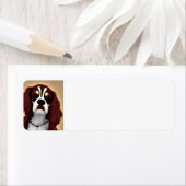 cavalier king charles spaniel AI1 (Insitu)