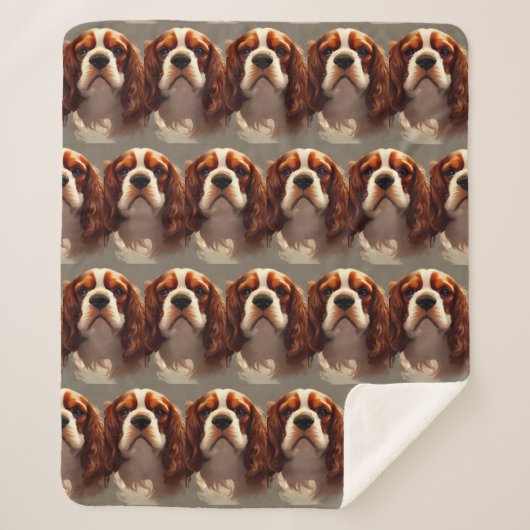 Cavalier King Charles Spaniel AI5 Sherpadecke (Vorderseite)