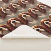 Cavalier King Charles Spaniel AI5 Sherpadecke (3/4)