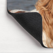 Cavalier King Charles Spaniel am Strand-Mauspad Mousepad (Ecke)
