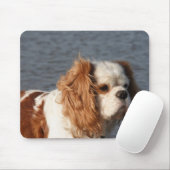 Cavalier King Charles Spaniel am Strand-Mauspad Mousepad (Mit Mouse)