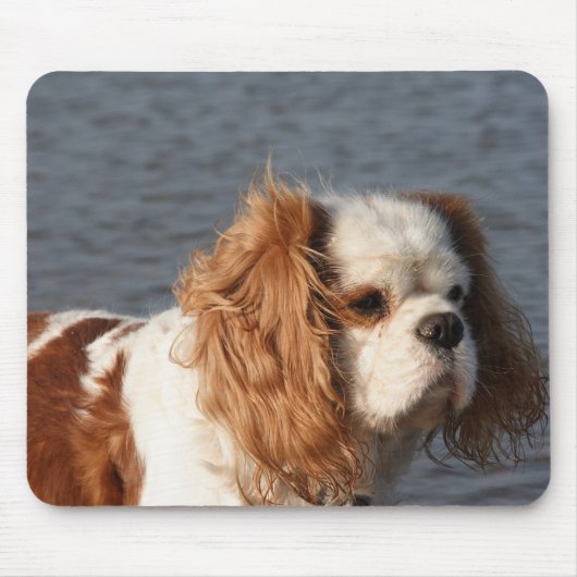 Cavalier King Charles Spaniel am Strand-Mauspad Mousepad (Vorne)