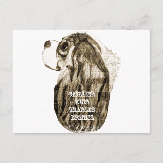 Cavalier King Charles Spaniel Antique Profil Postkarte (Vorderseite)