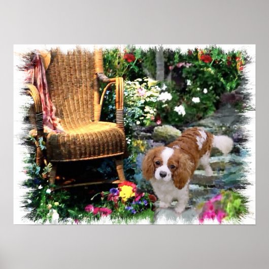Cavalier King Charles Spaniel Art Poster (Vorne)